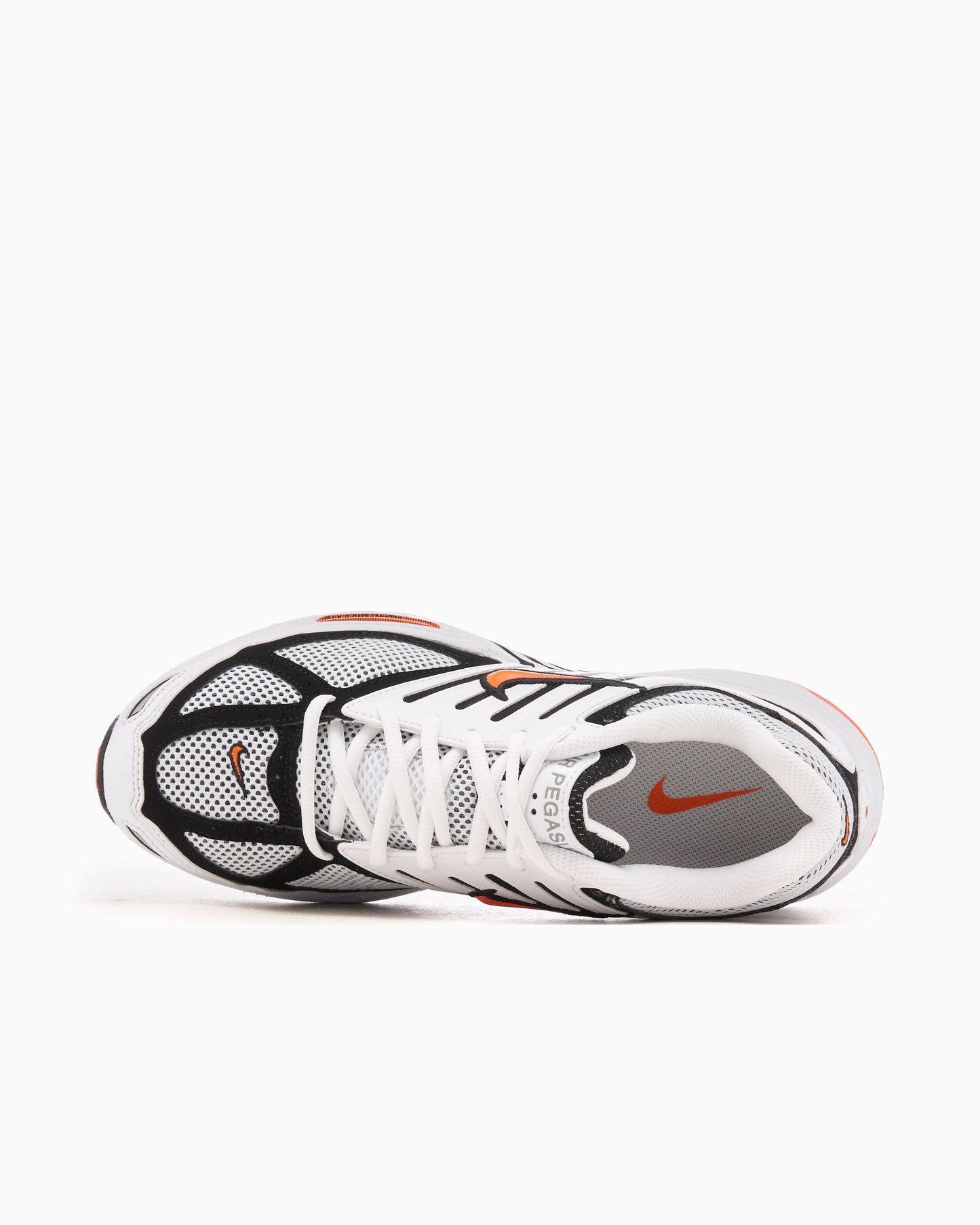 Nike Air Pegasus 2005