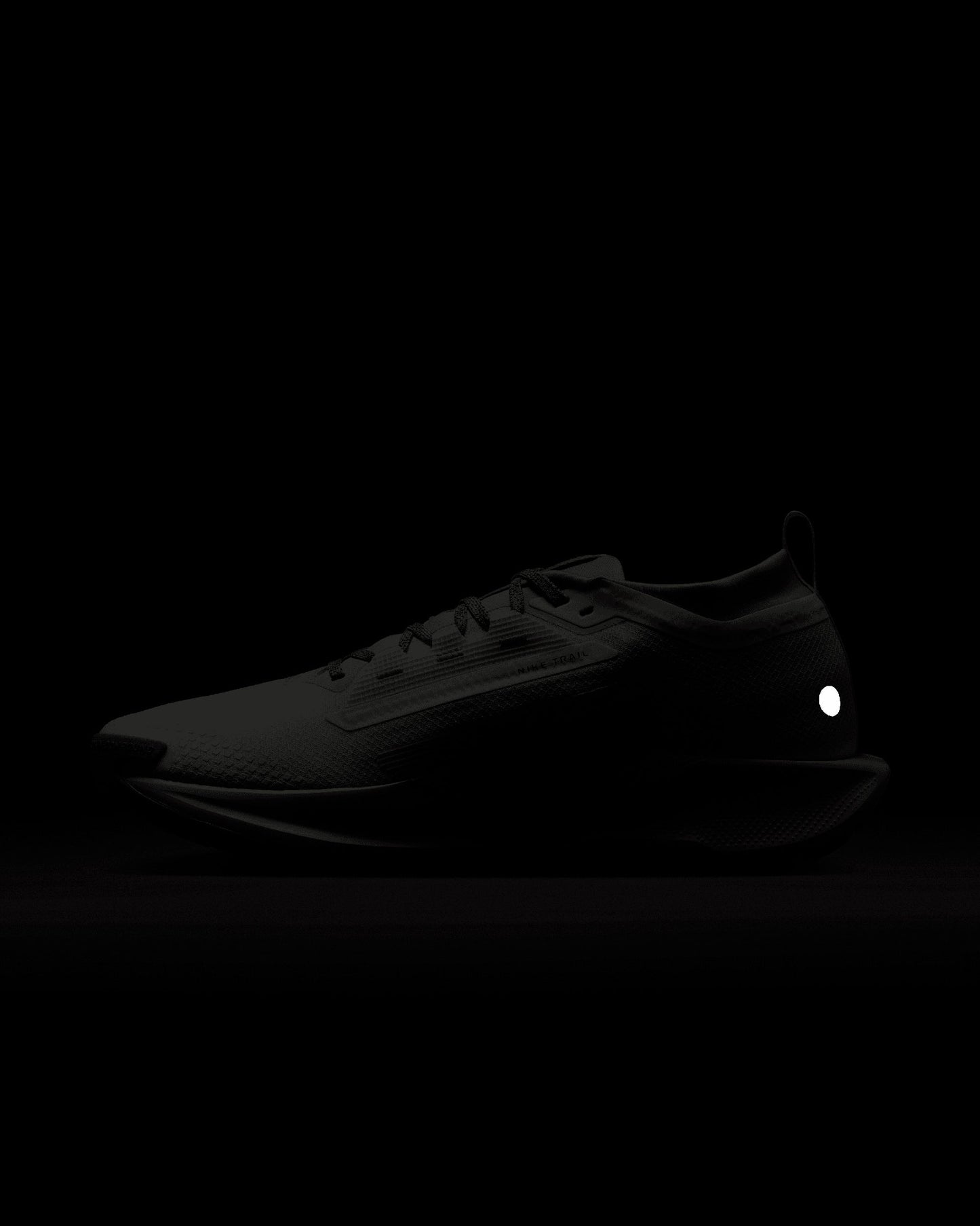 Nike Reactx Pegasus Trail 5 Gore-Tex® SP