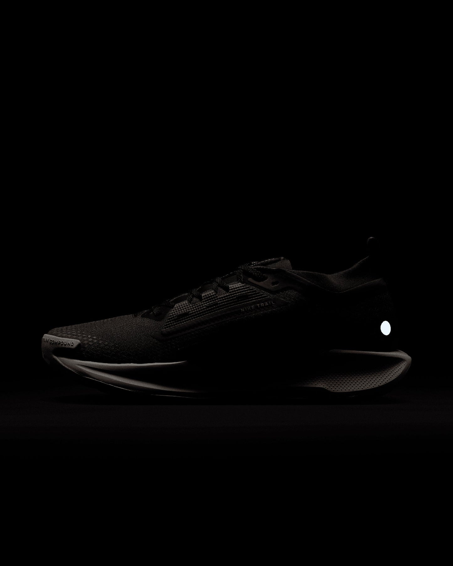 Nike Reactx Pegasus Trail 5 SP Gore-Tex®