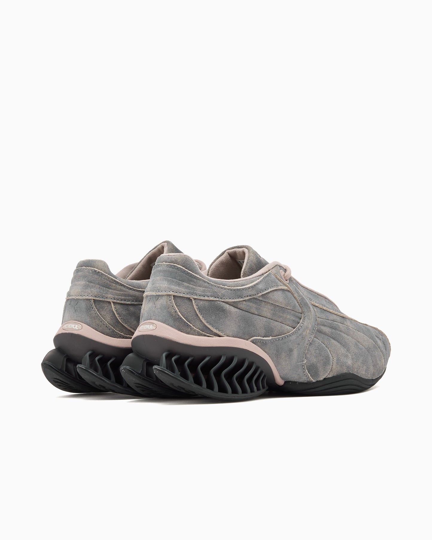 Puma Cell Geo 1 Biology