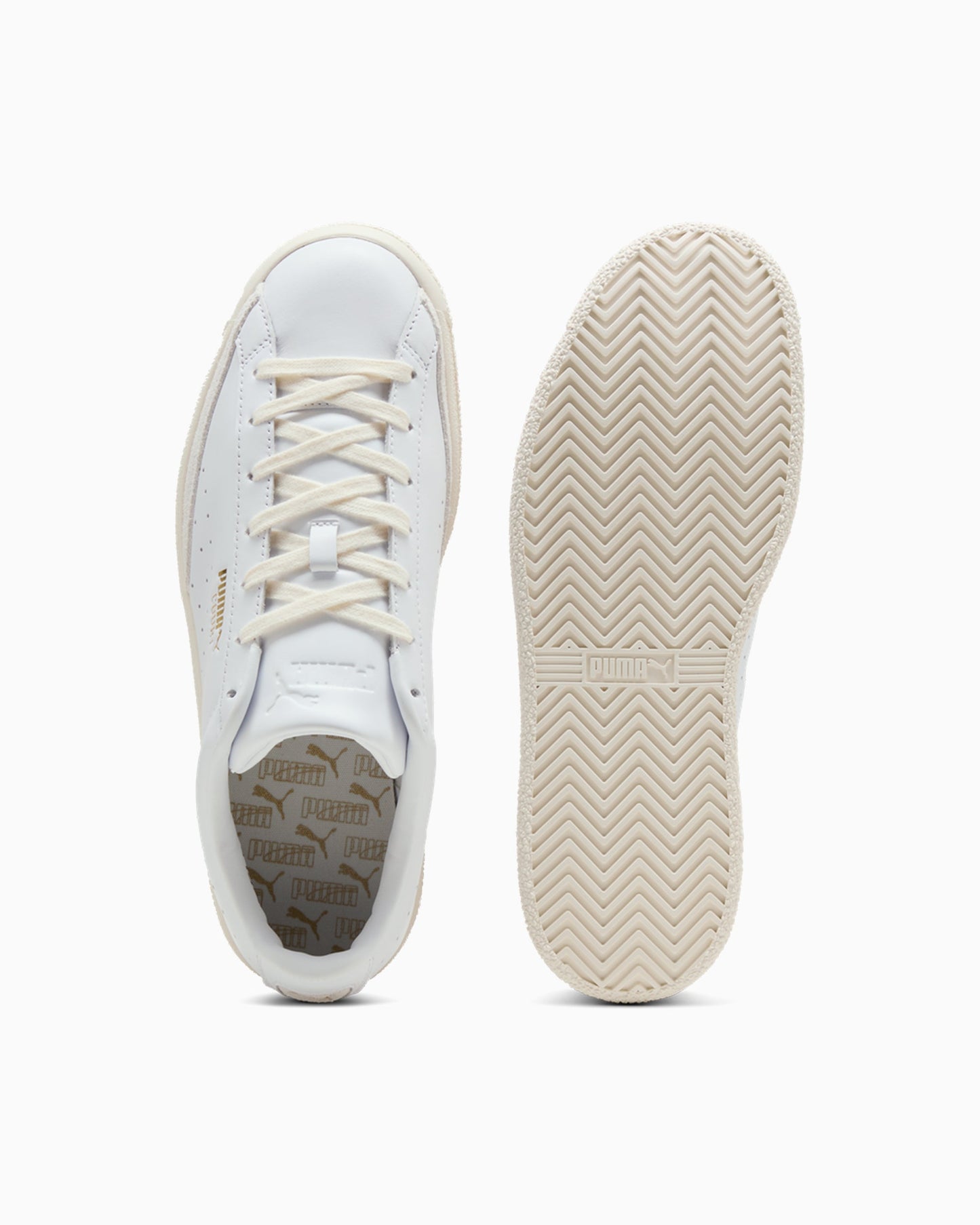 Puma Court