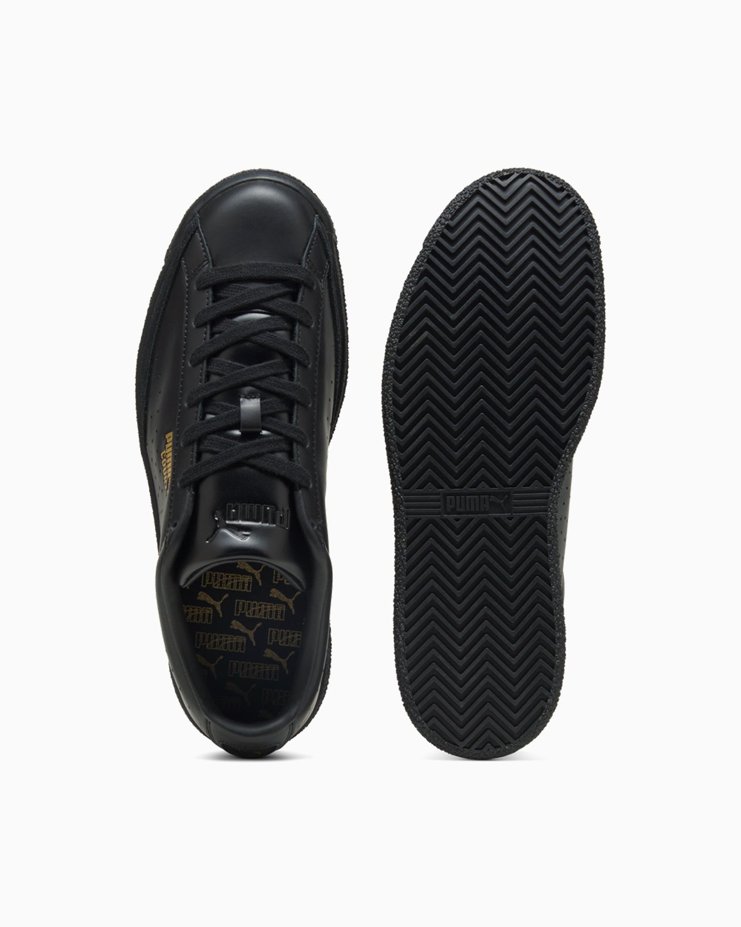 Puma Court