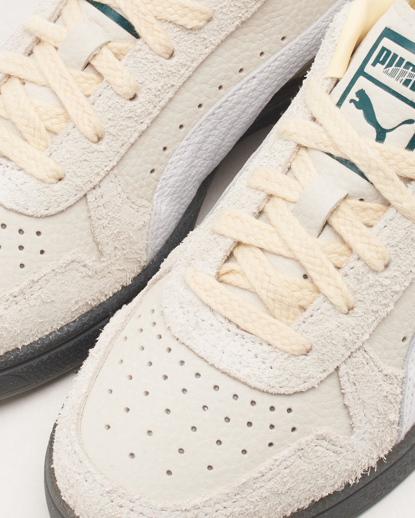 Puma Indoor PRM