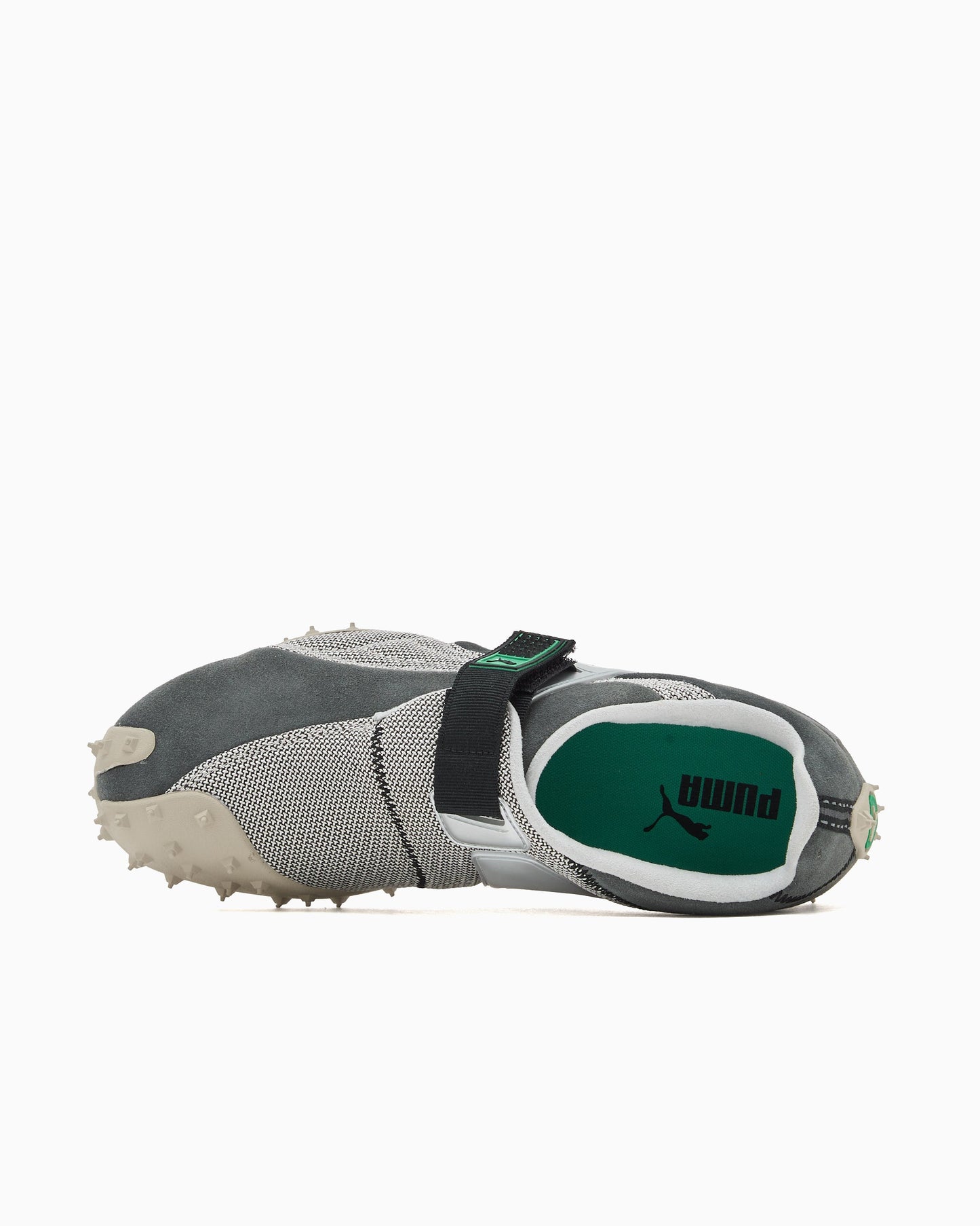 Puma RPT-2