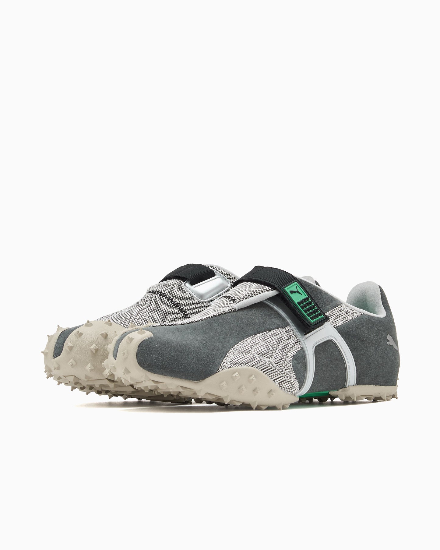Puma RPT-2