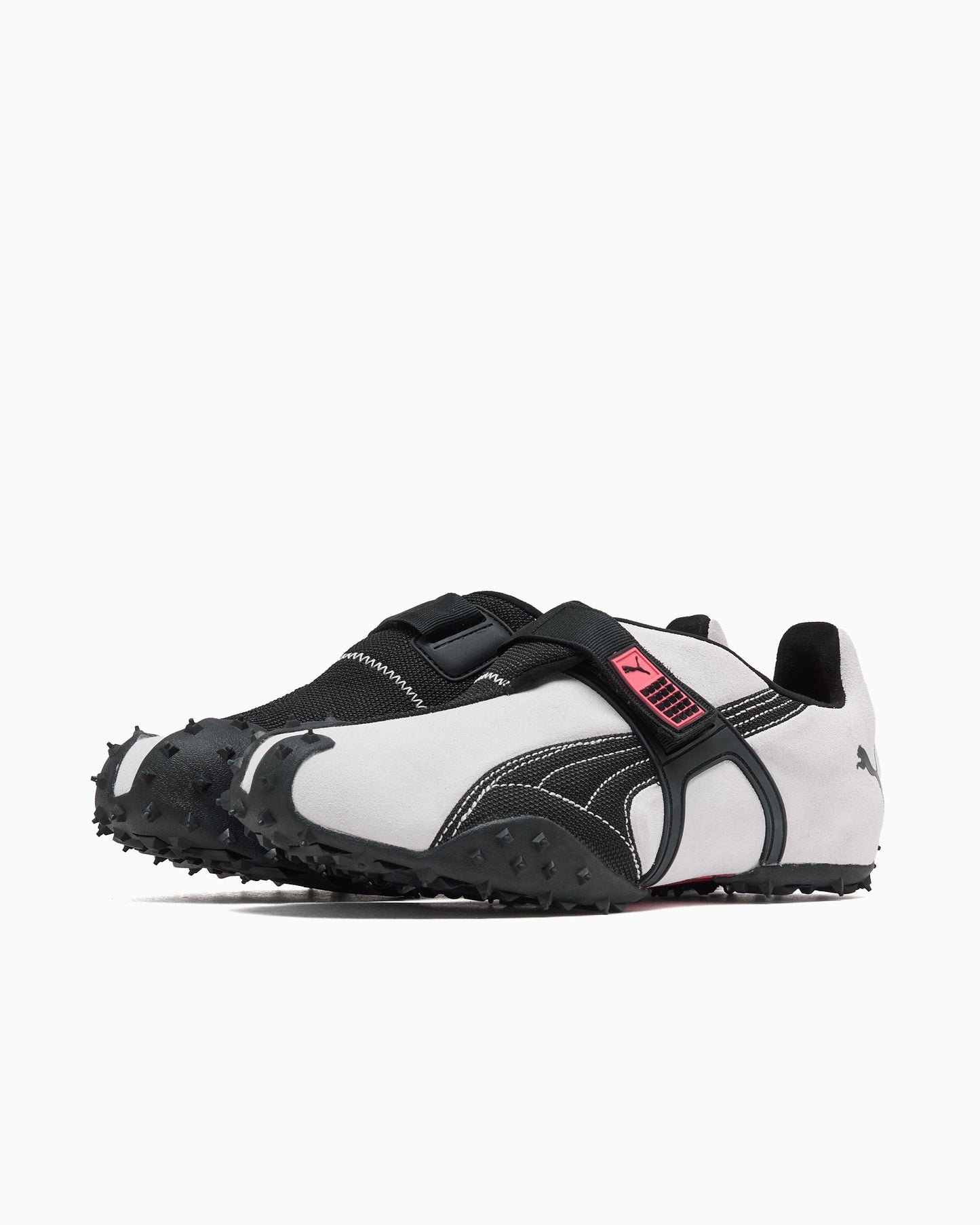 Puma RPT-2