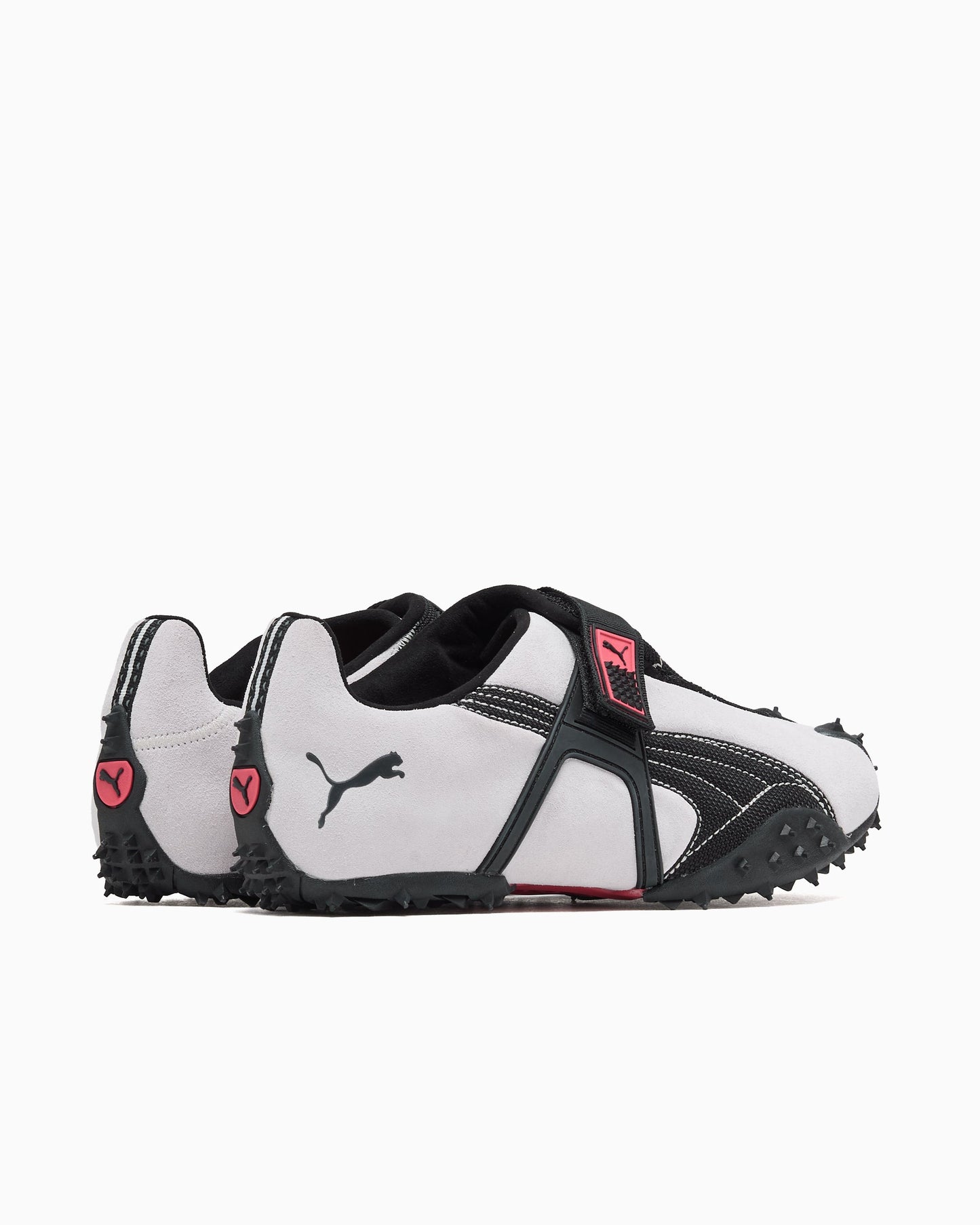 Puma RPT-2