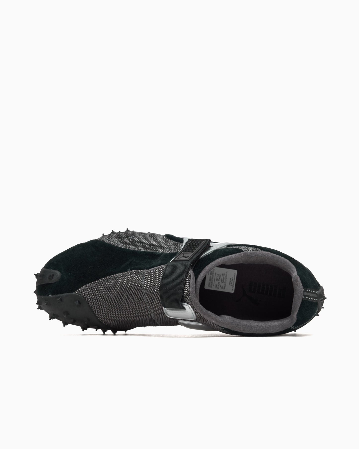 Puma RPT-2