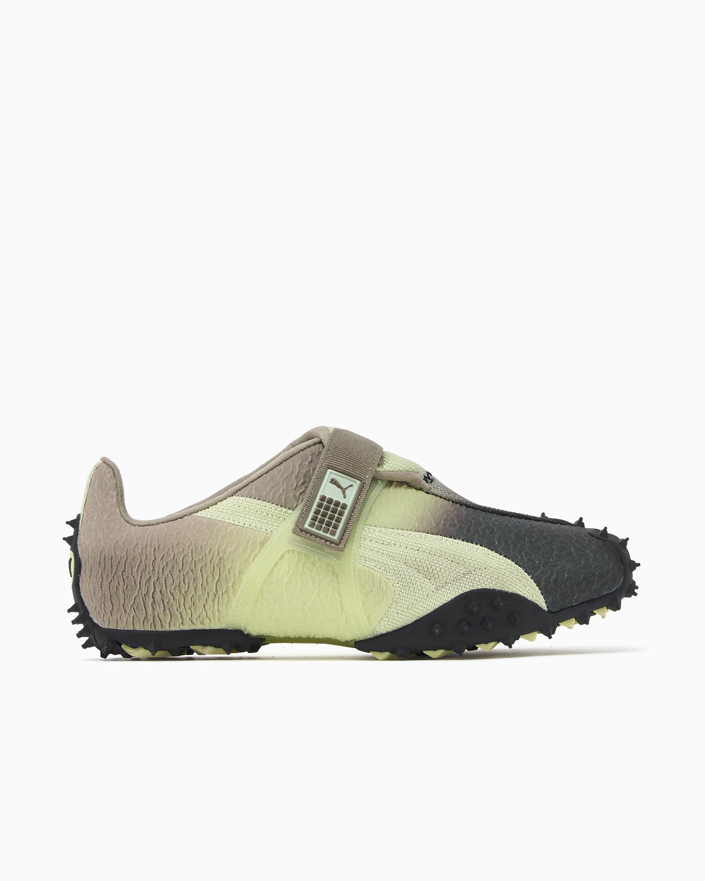 Puma RPT-2 Biology Experiment Wabi-Sabi