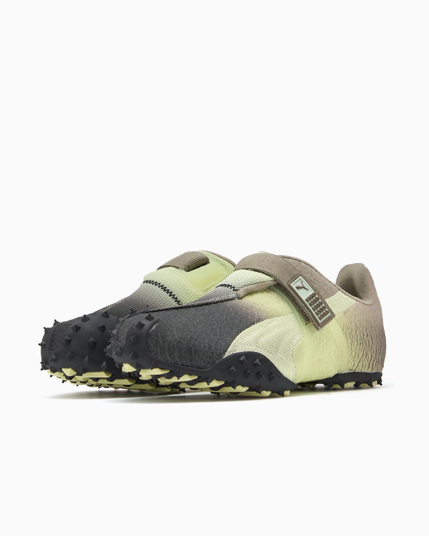 Puma RPT-2 Biology Experiment Wabi-Sabi