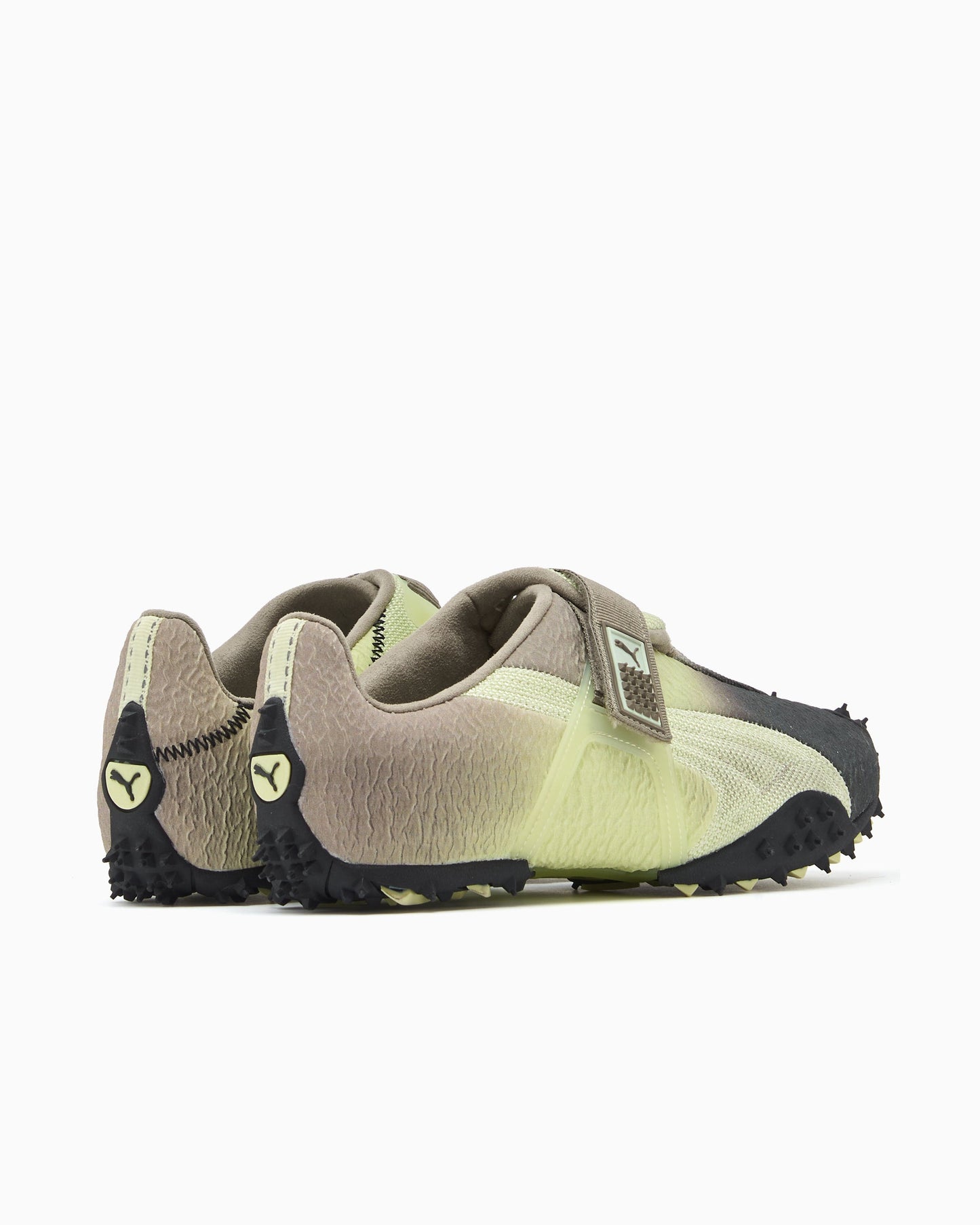 Puma RPT-2 Biology Experiment Wabi-Sabi