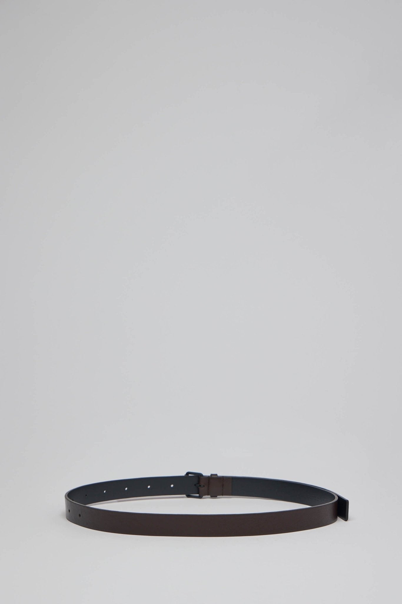Varnia Leather Wide Belt