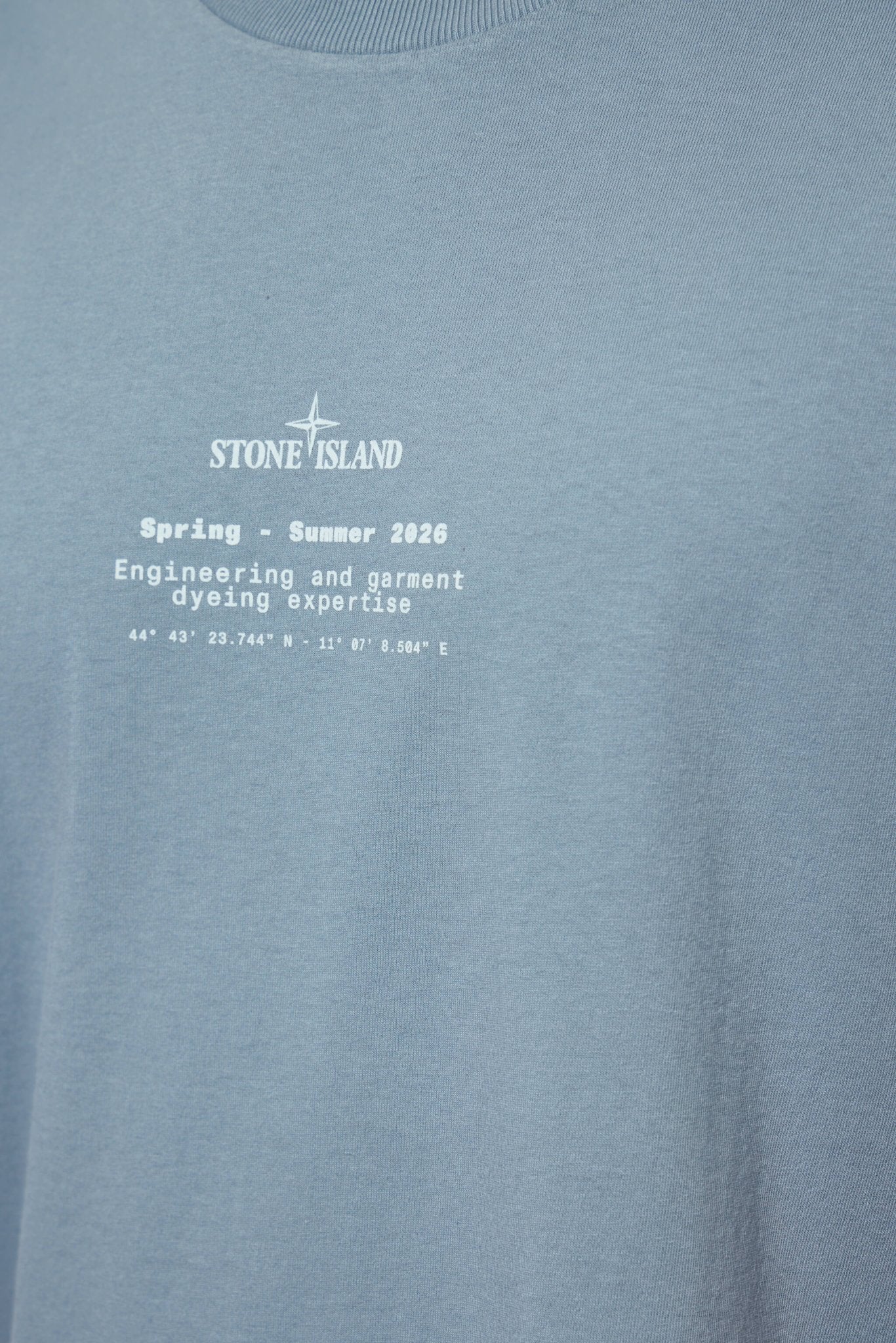 Regular Fit T-shirt with Stone Print