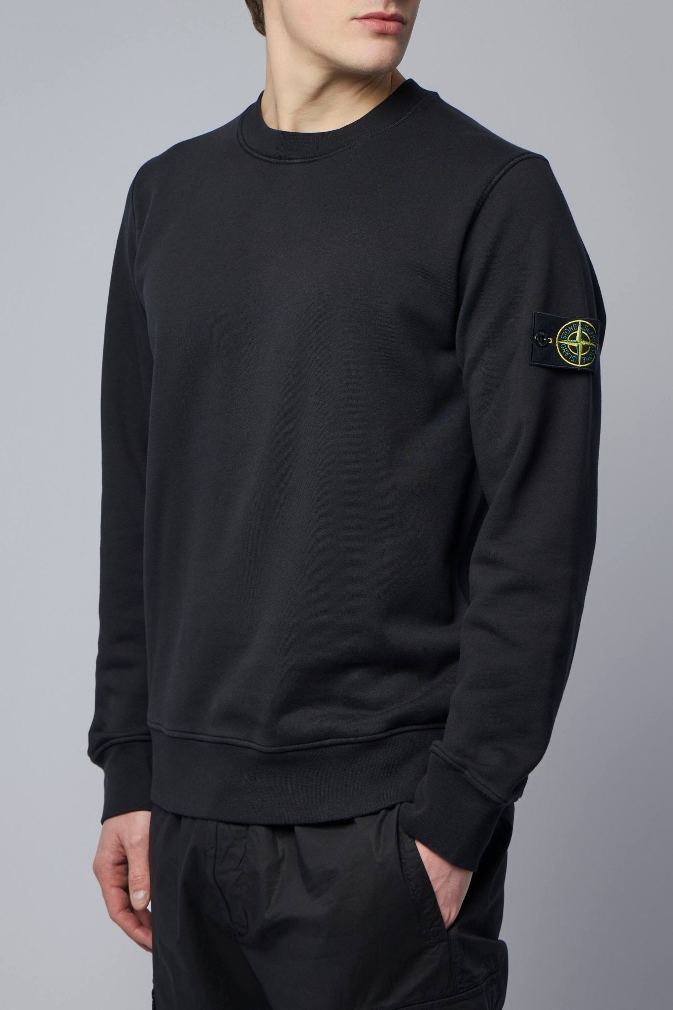 Regular Fit Crewneck Sweatshirt with Raglan Sleeves