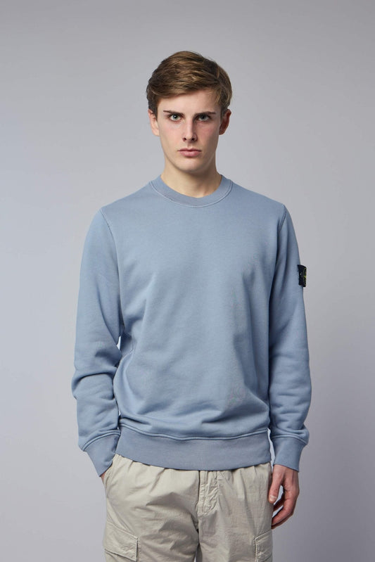 Regular Fit Crewneck Sweatshirt with Raglan Sleeves