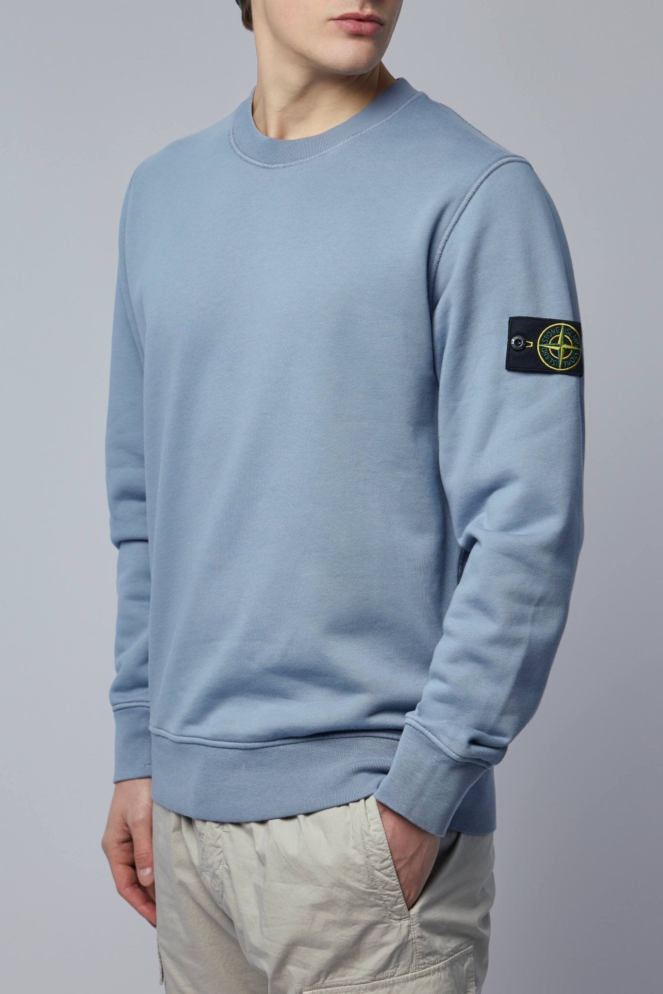 Regular Fit Crewneck Sweatshirt with Raglan Sleeves