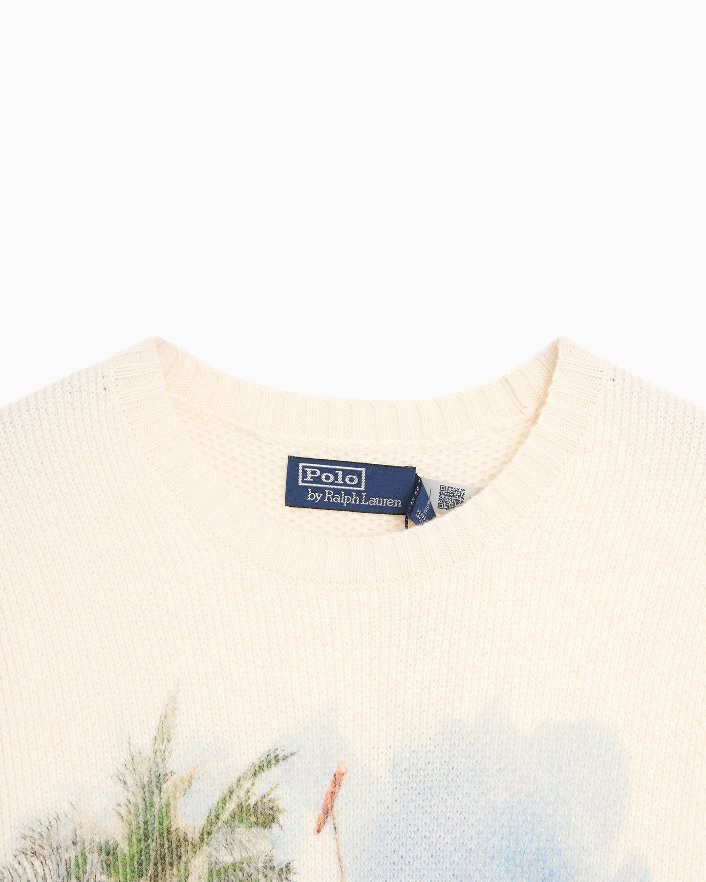 Jersey con gráfico Polo Ralph Lauren para hombre