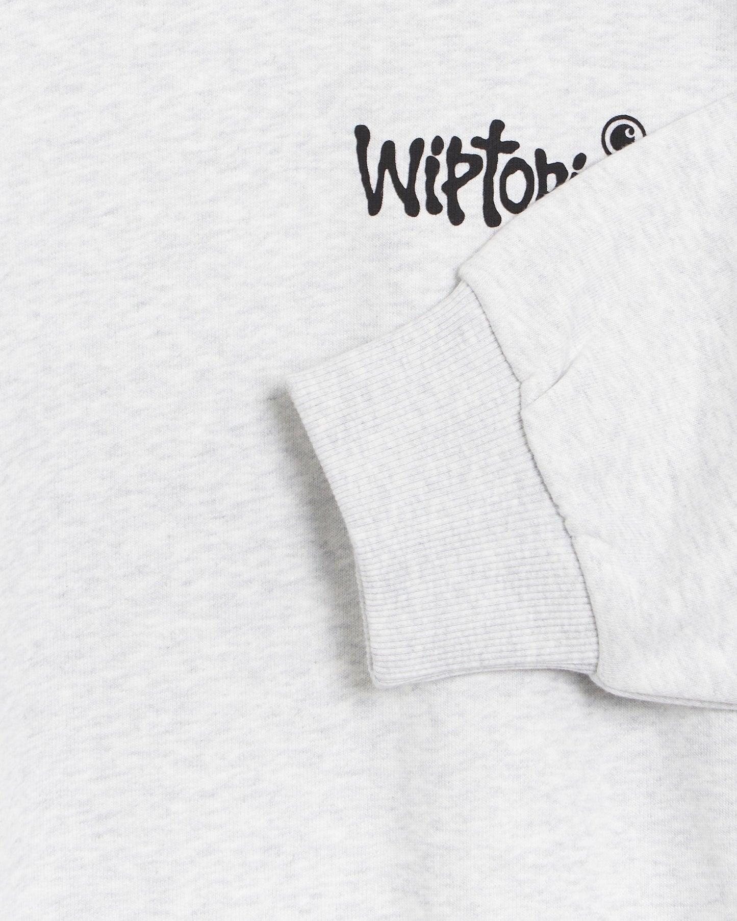 Sudadera con gráfico Relaxed Carhartt WIP Wiptopia Unisex
