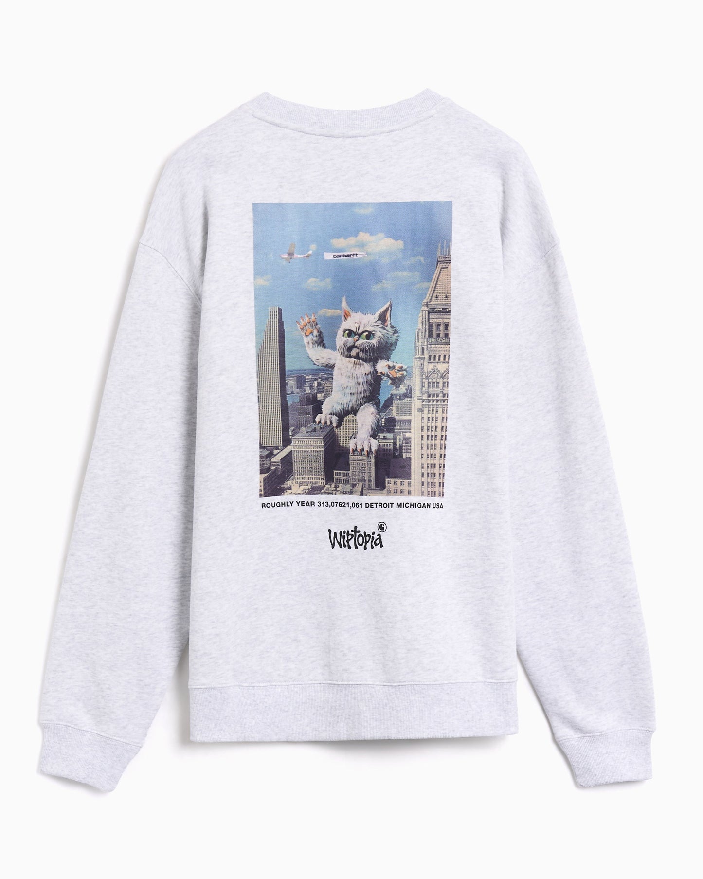 Sudadera con gráfico Relaxed Carhartt WIP Wiptopia Script para mujer