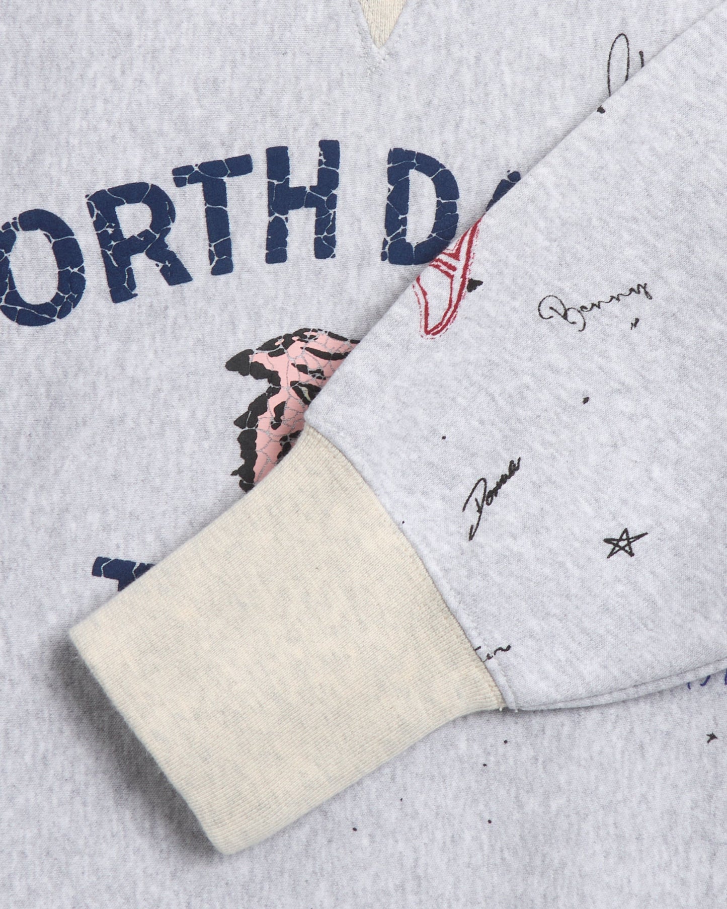 Sudadera Champion Index+Archives Men's Sweatshirt para hombre