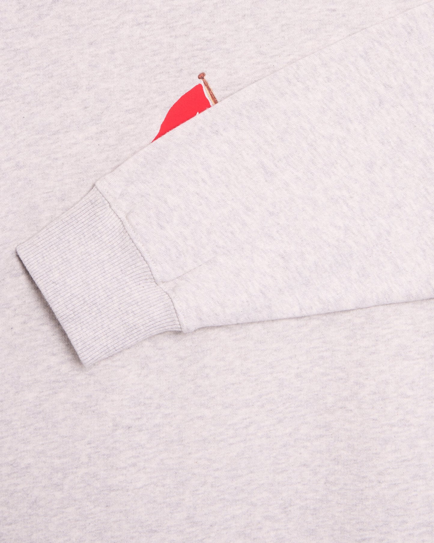 Sudadera forét Pennant para hombre