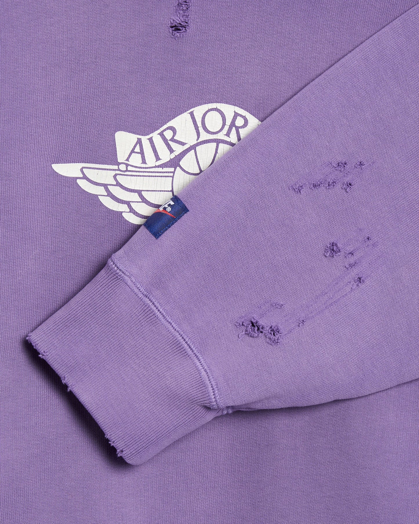 Sudadera con capucha con logo Jordan Rare Air Fleece "Purple Earth" para hombre