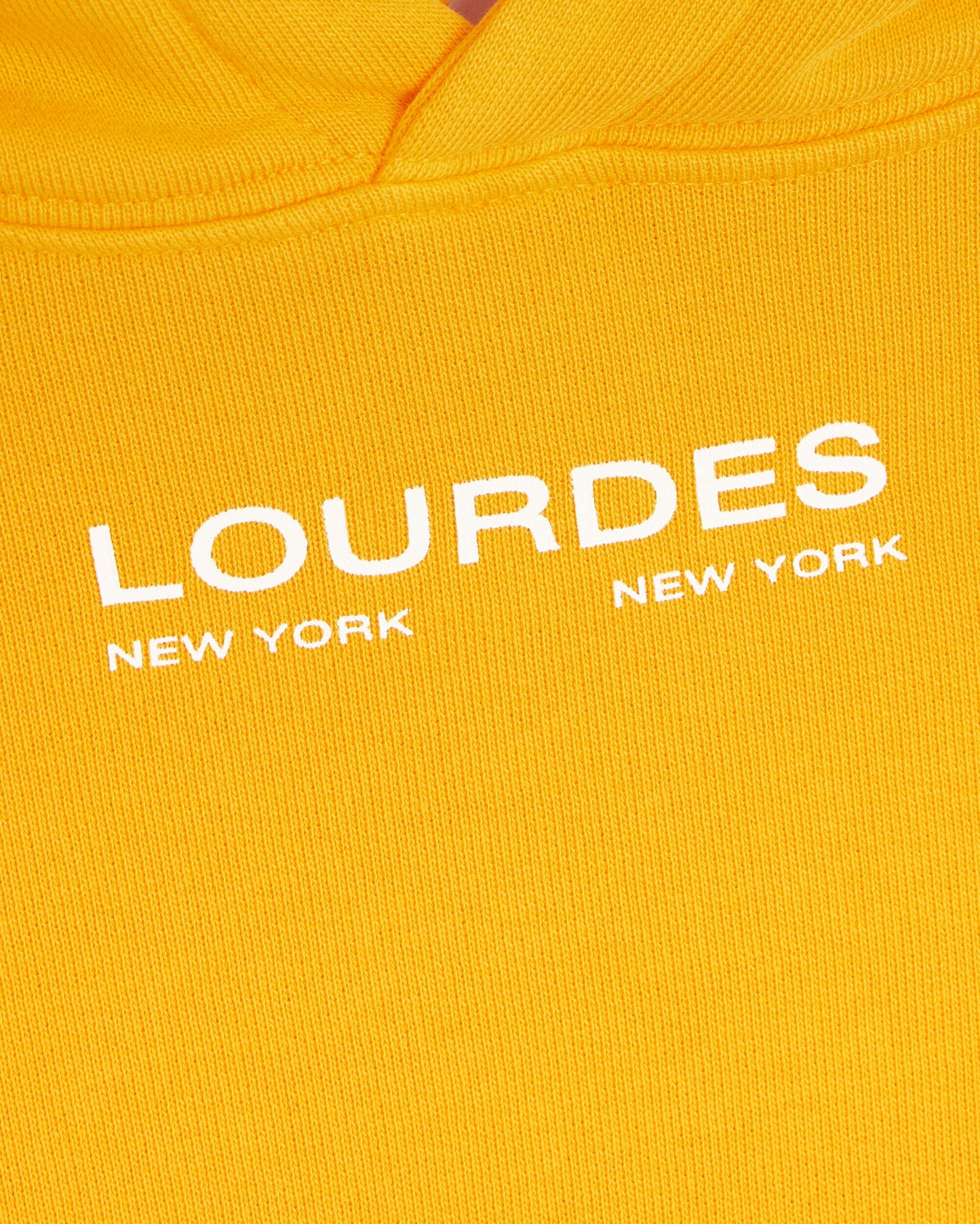 Sudadera con capucha Lourdes New York Lourdes Unisex Graphic Hoodie Unisex