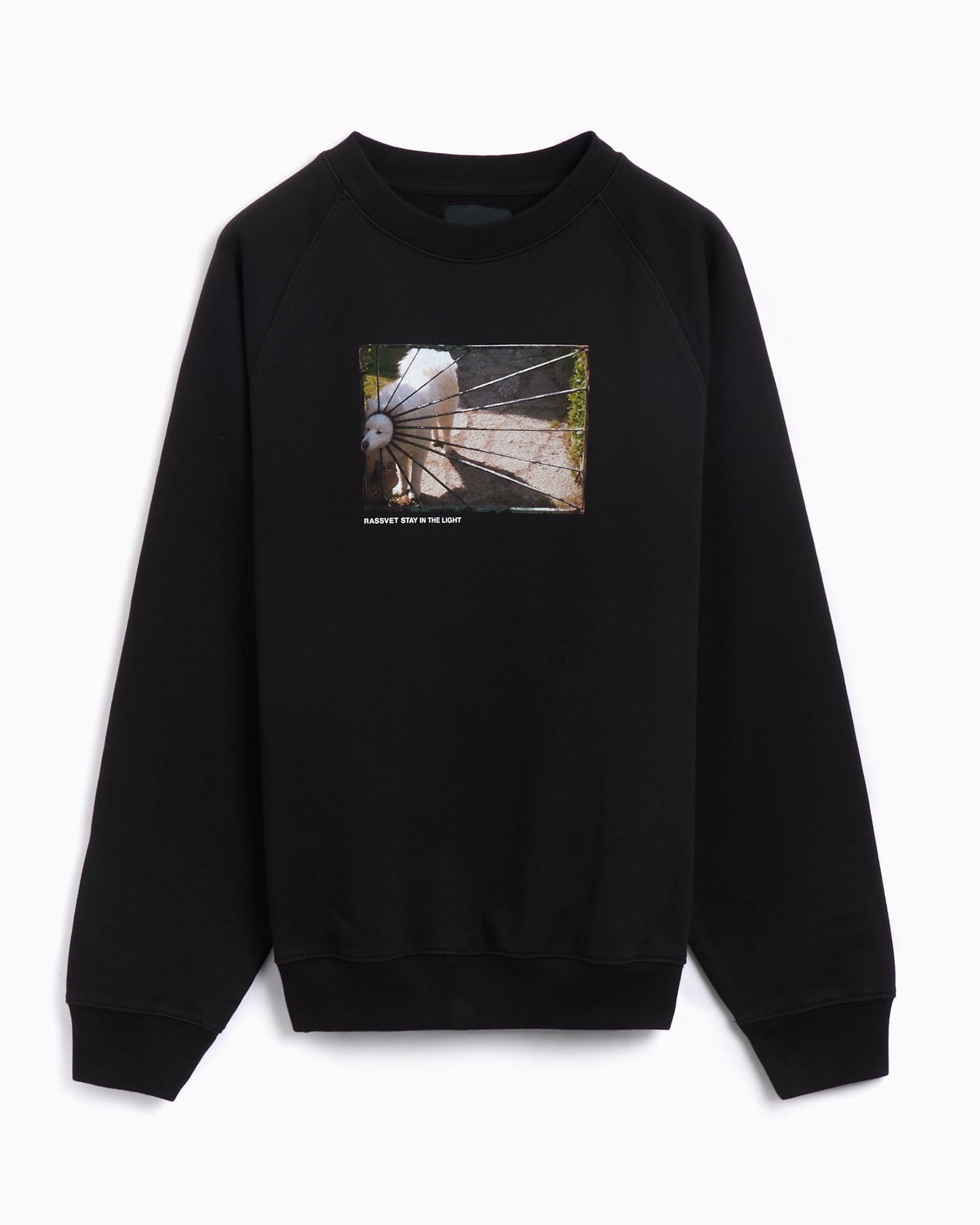 Sudadera Rassvet Dog Logo Men's Knit Sweatshirt para hombre