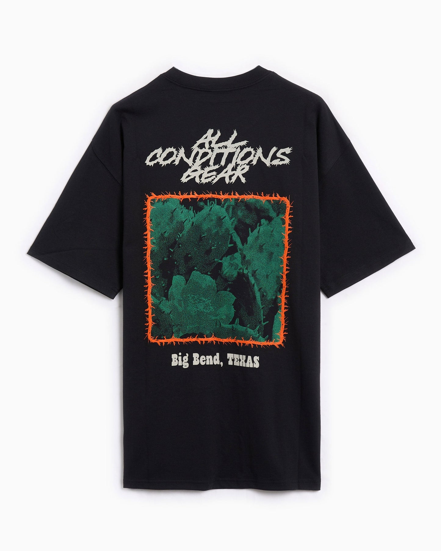 Camiseta con gráfico Relaxed Nike ACG OC Cactus Dri-FIT para hombre