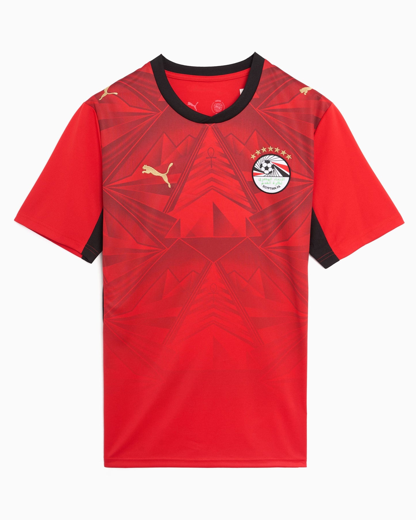 Jersey T-Shirt 1ª equipación 2026 Puma Egypt Futbol para hombre