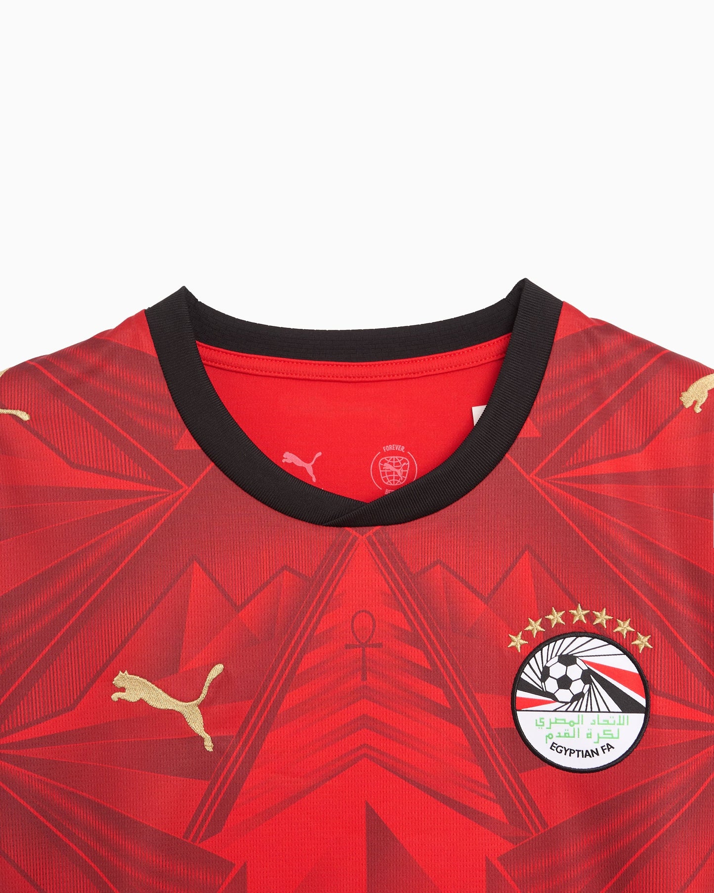 Jersey T-Shirt 1ª equipación 2026 Puma Egypt Futbol para hombre