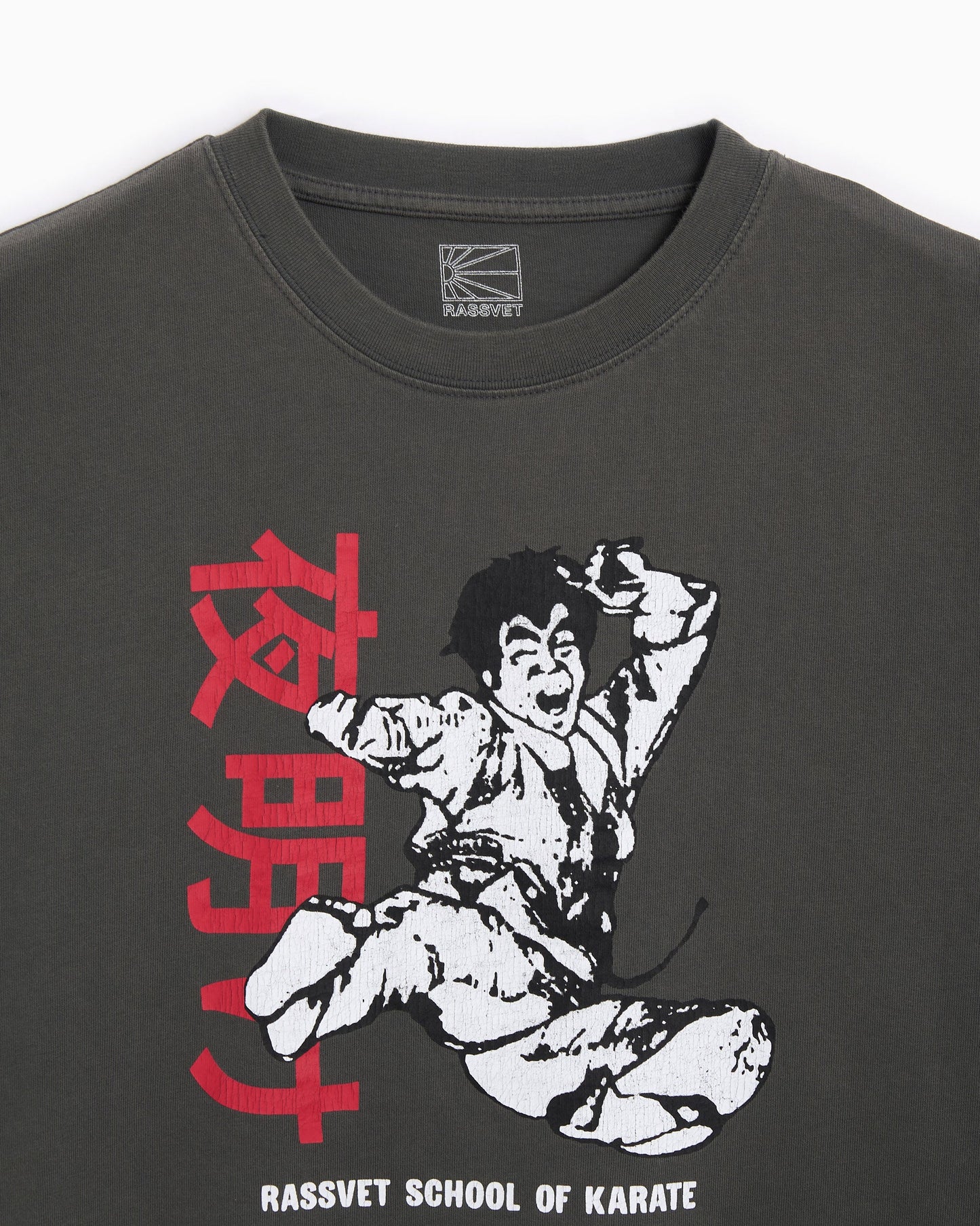 Camiseta con gráfico Rassvet Dojo para hombre
