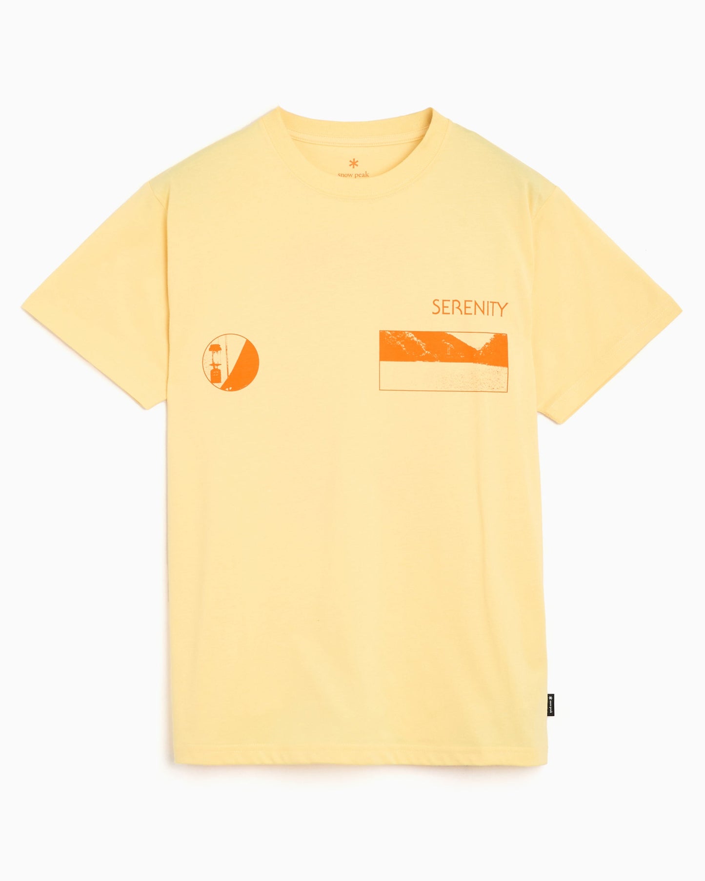 Camiseta con gráfico Relaxed Snow Peak CF Landscape para hombre