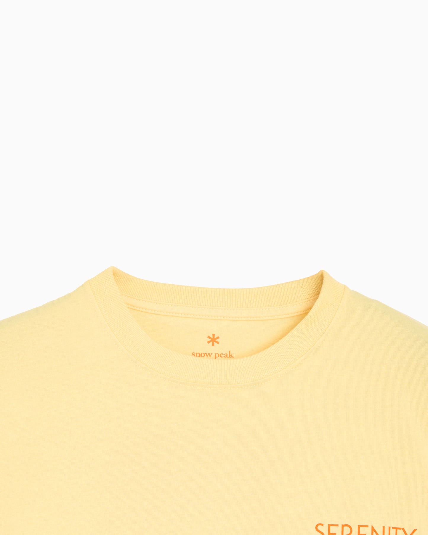 Camiseta con gráfico Relaxed Snow Peak CF Landscape para hombre