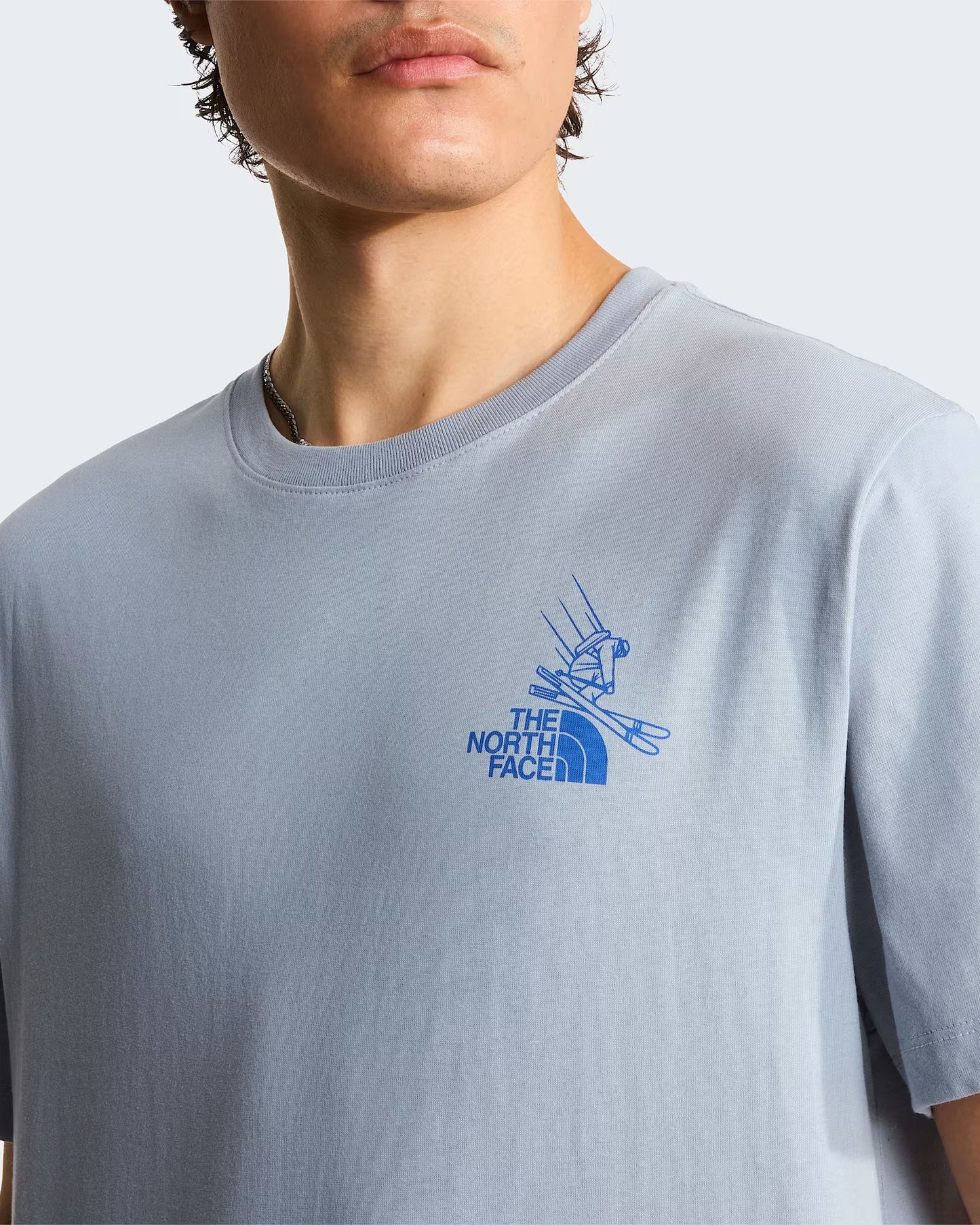 Camiseta con gráfico The North Face Mountain Celebration para hombre