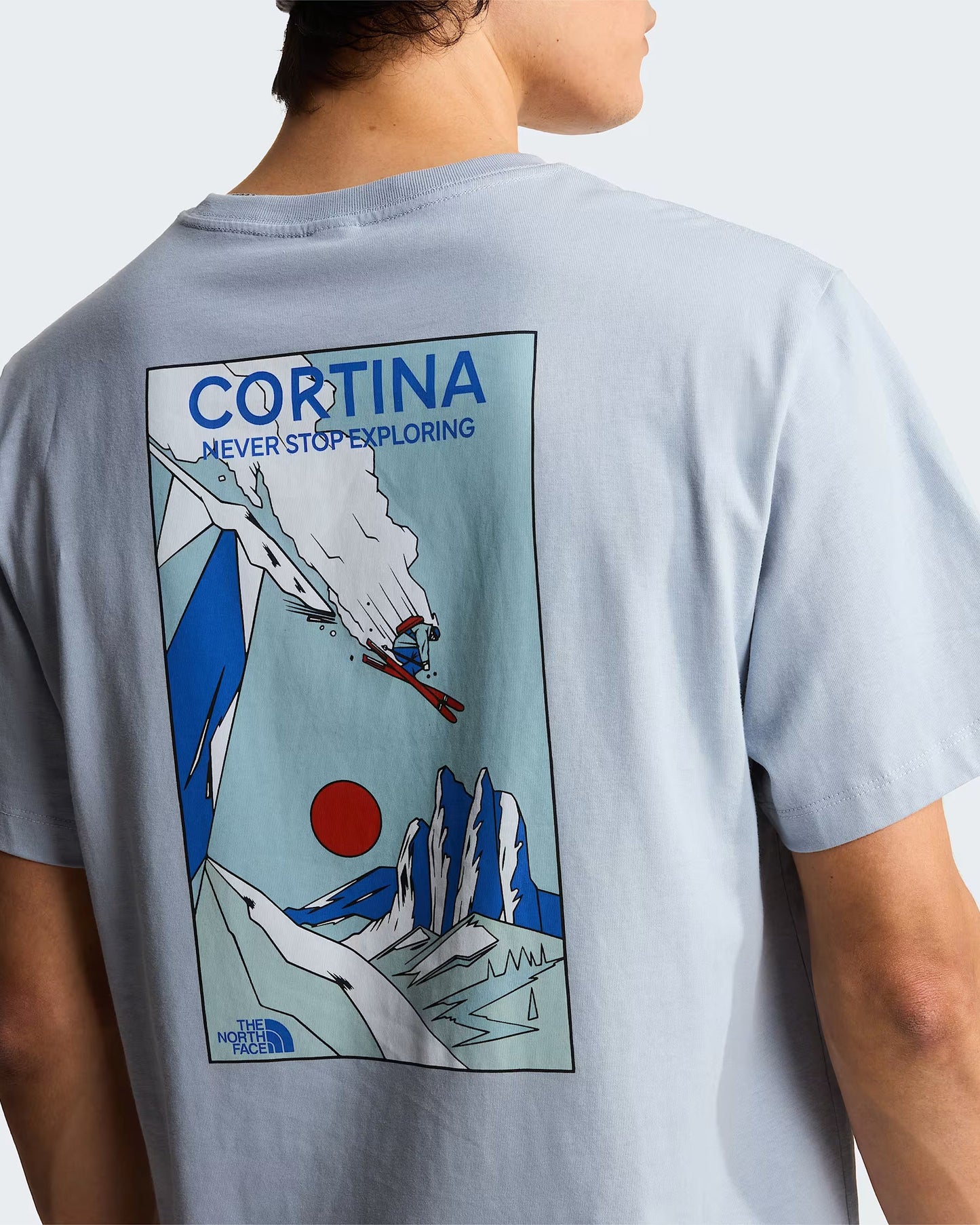 Camiseta con gráfico The North Face Mountain Celebration para hombre