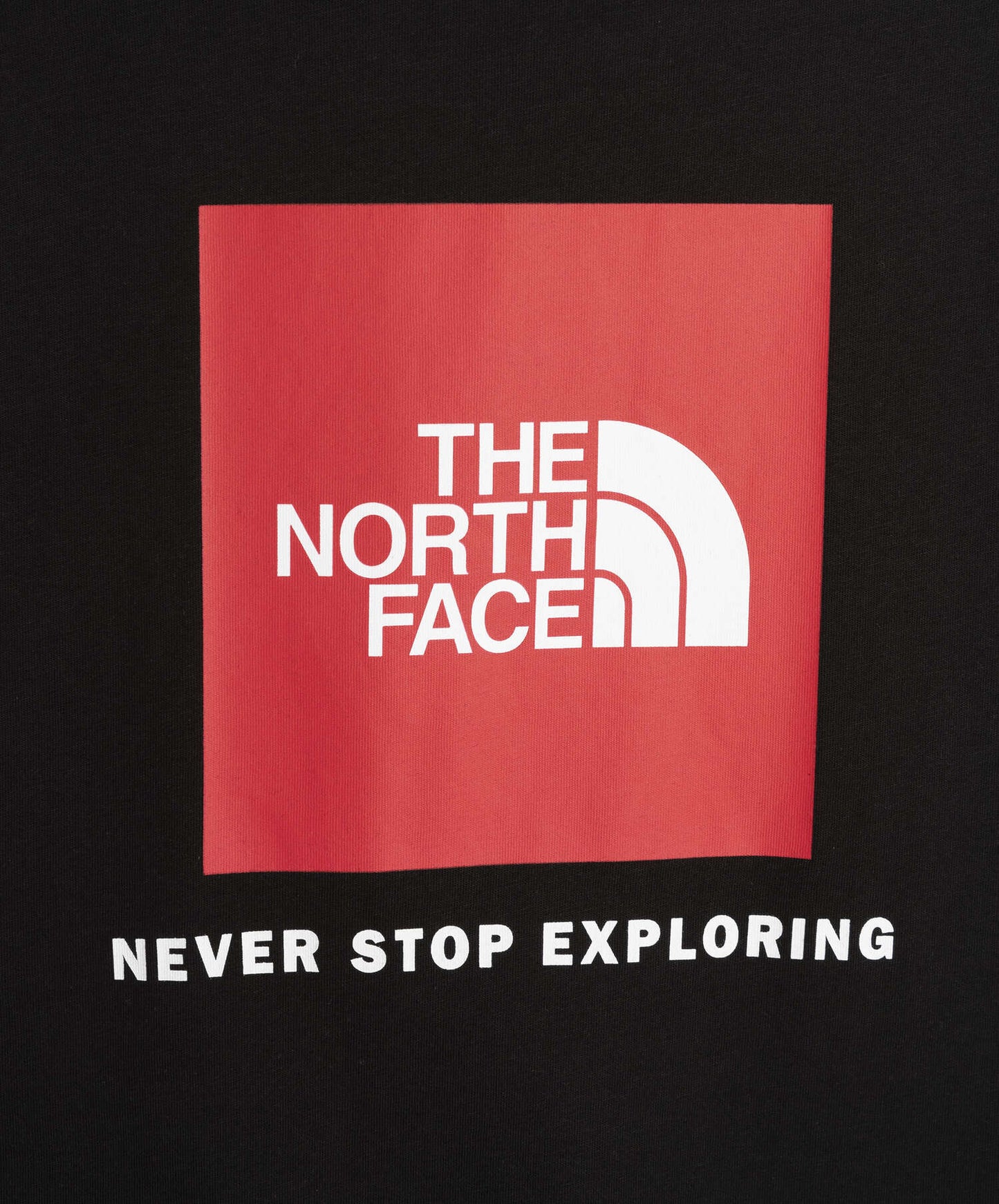 Camiseta The North Face Red Box Men's T-Shirt para hombre