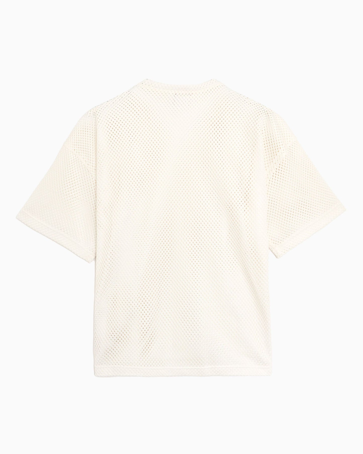 Camiseta The North Face Red Box Mesh para hombre