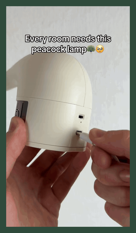Peacock Projection Night Light with Remote Control and Touch Dimming