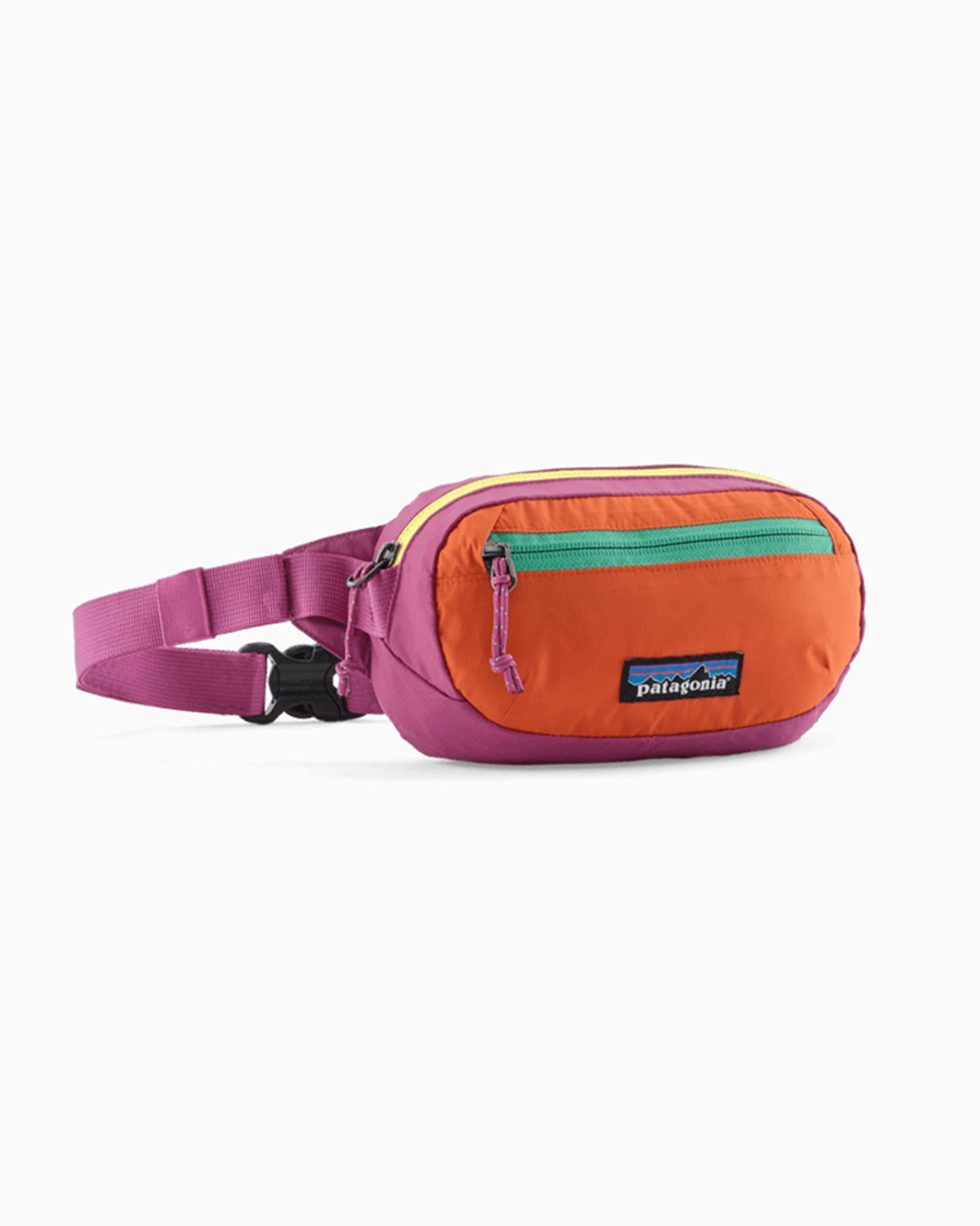 Riñonera Patagonia Terravia Mini 1L Unisex