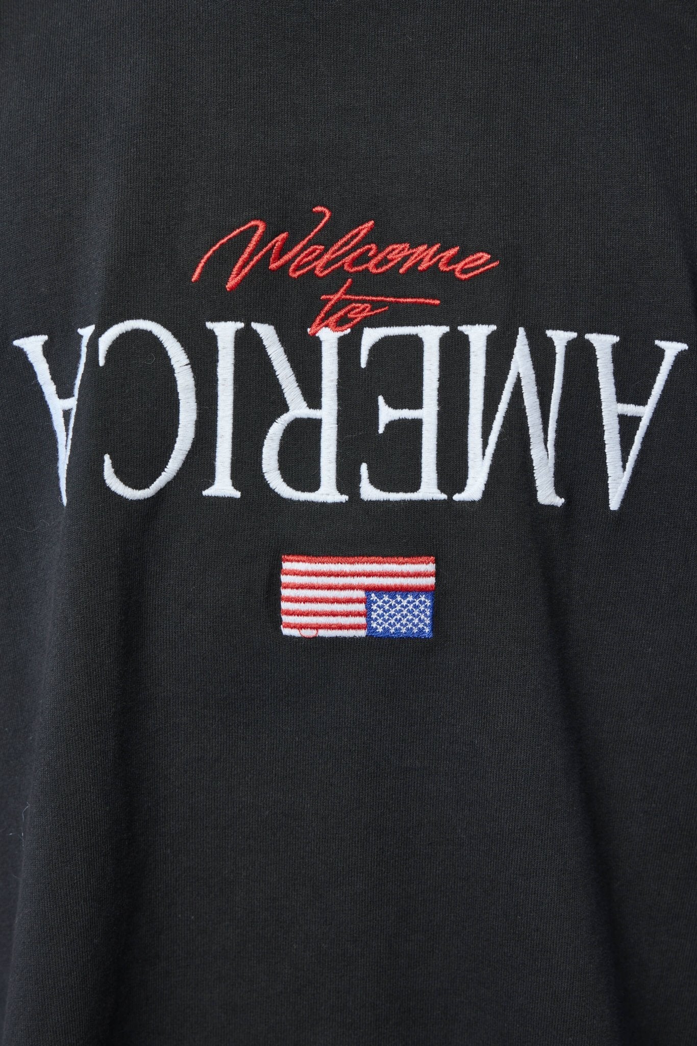 Welcome to America Buffalo T-shirt
