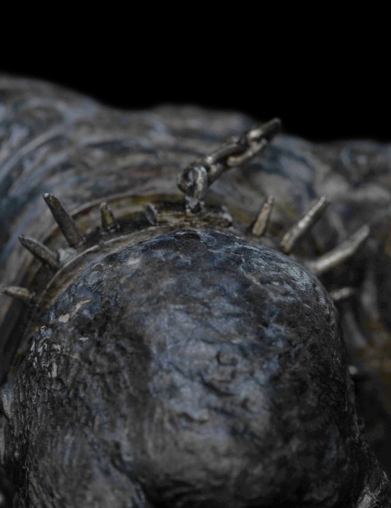 The Lord of the Rings - Official Weta Workshop Cave Troll Statue